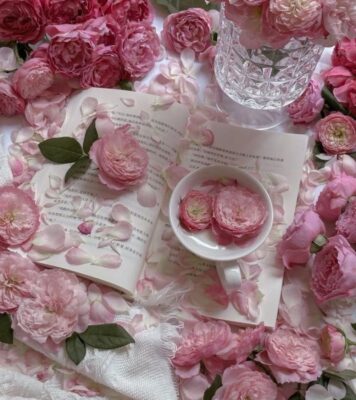 Hình nền hoa mẫu đơn