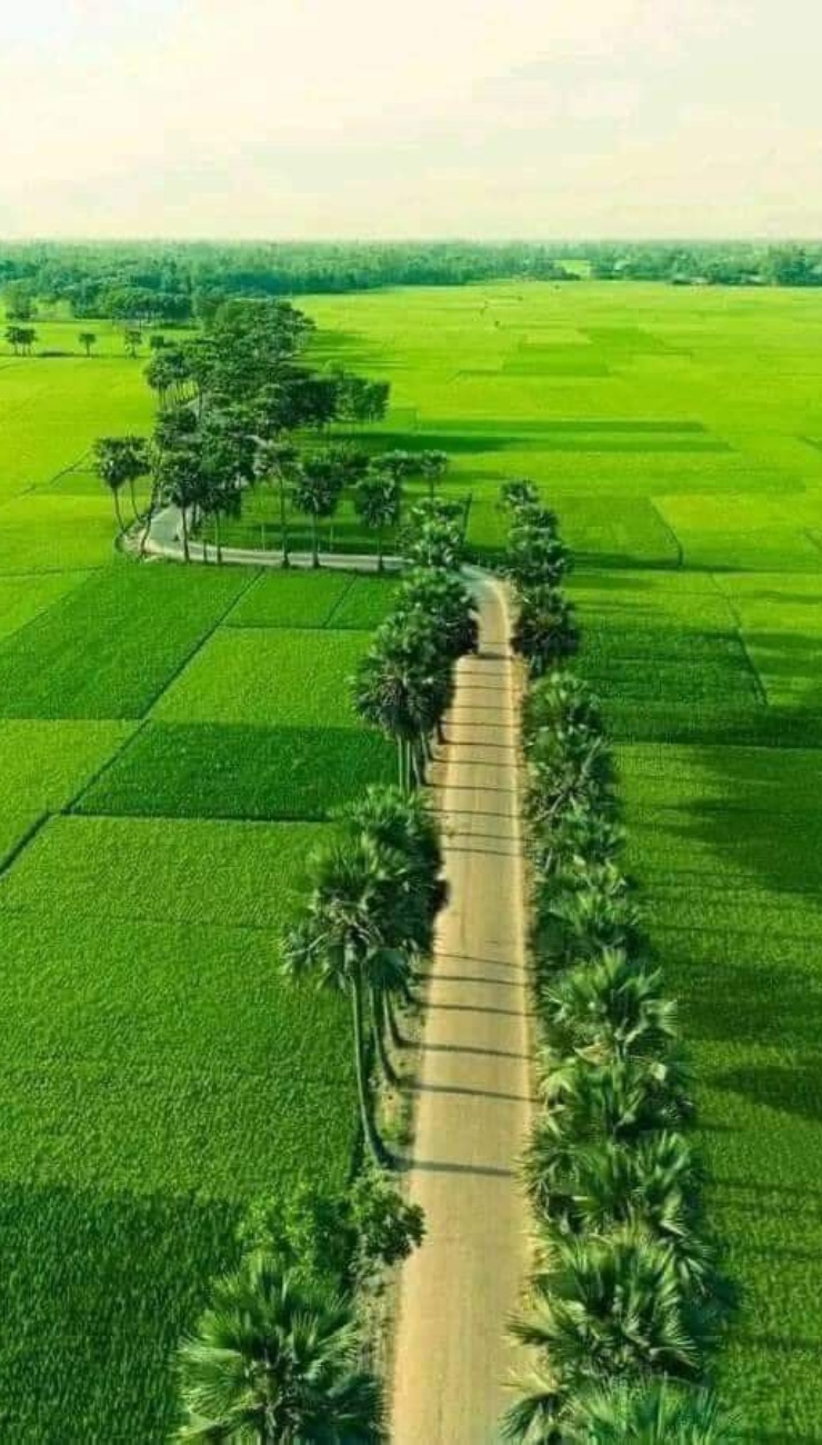 Hình nền phong cảnh thiên nhiên làng quê