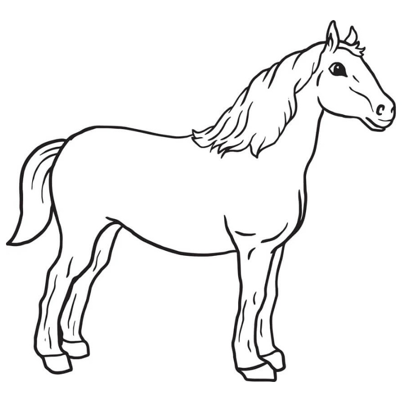 Tranh tô màu con ngựa đơn giản 