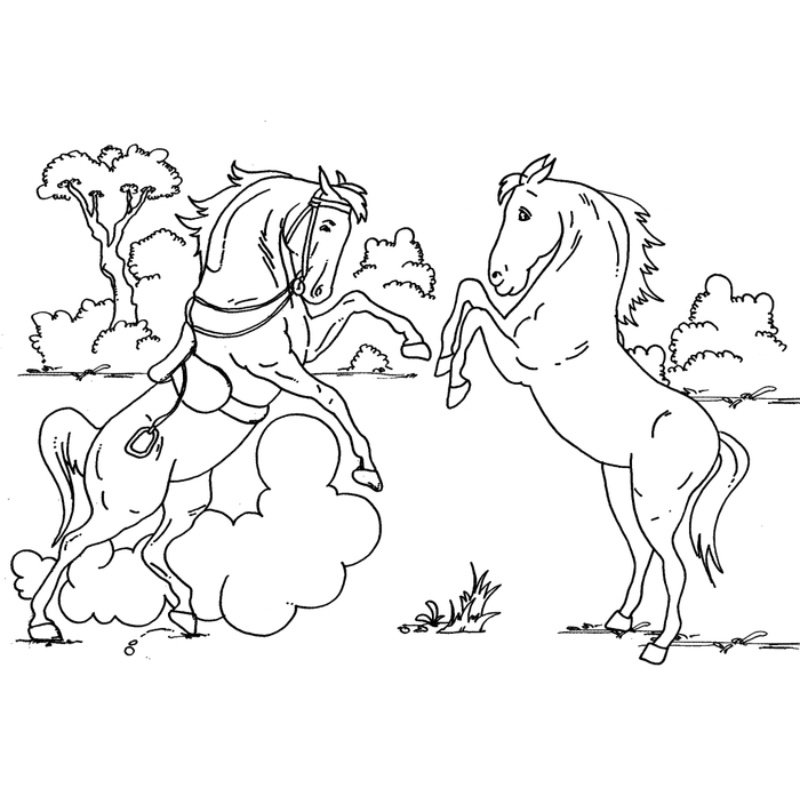 Tranh vẽ 2 con ngựa trong rừng 