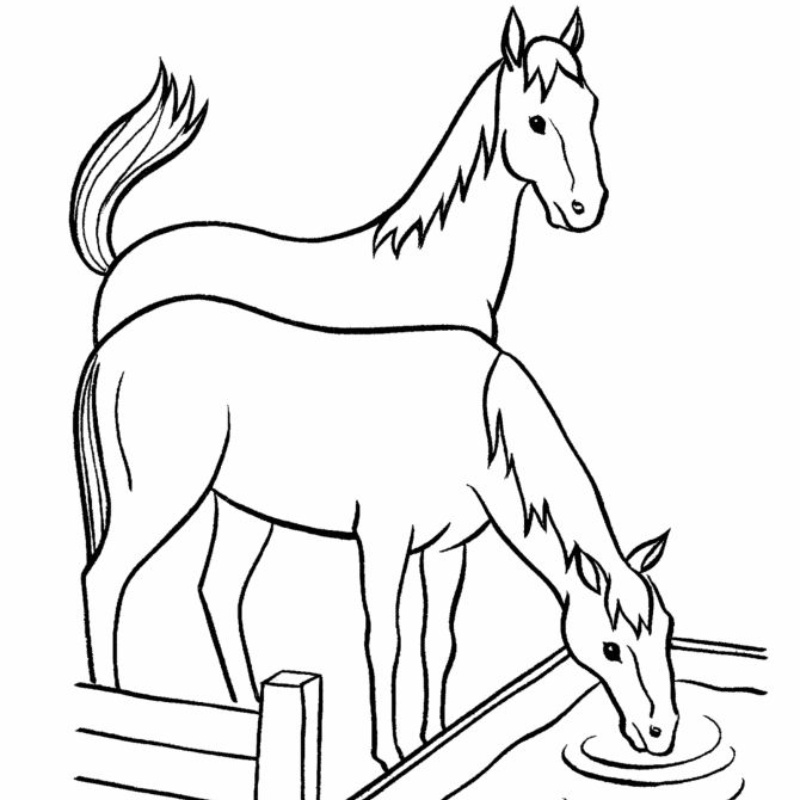 Tranh tô màu con ngựa