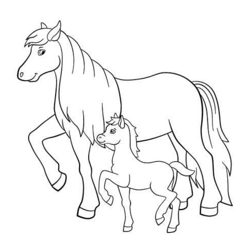 Hình vẽ 2 mẹ con nhà ngựa đáng yêu 