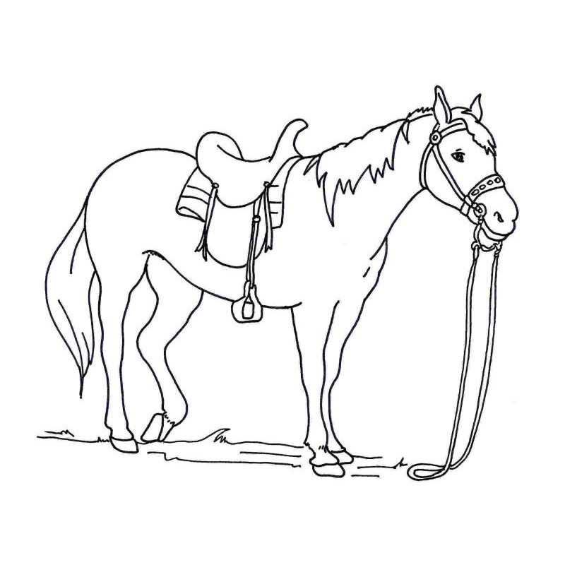 Tranh tô màu con ngựa đơn giản 