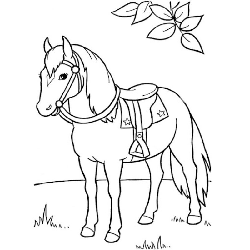 Tranh tô màu con ngựa