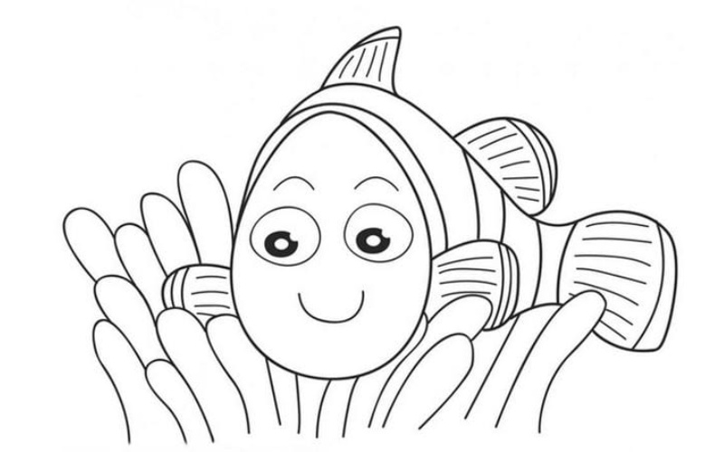Tô màu các con vật - Cá hề Nemo