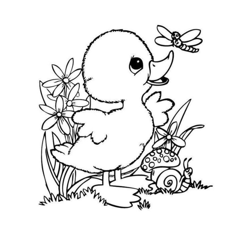 Tranh tô màu con vịt cute