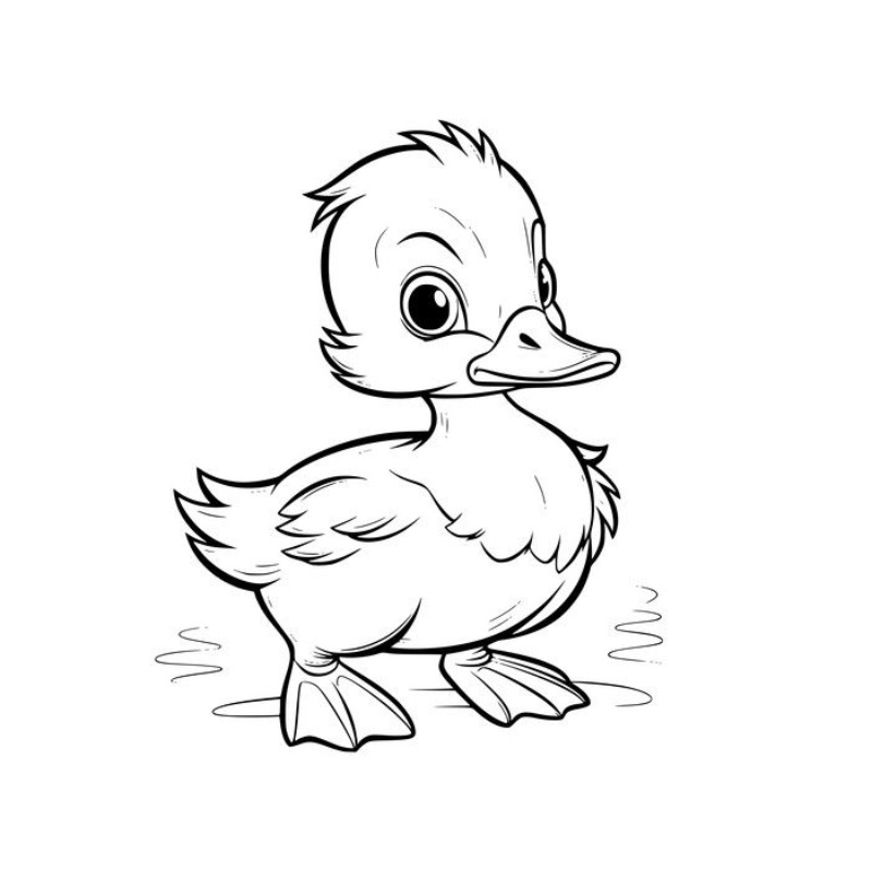 Tranh tô màu con vịt cute