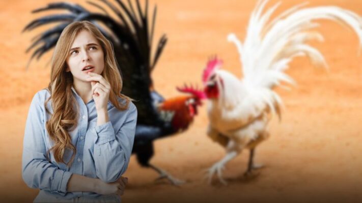 Thuật ngữ là nền tảng để đọc kèo đúng và hạn chế rủi ro.